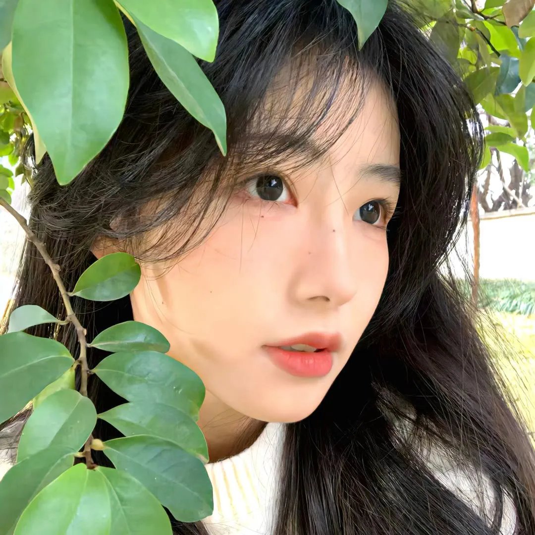 时尚恶魔的圣经